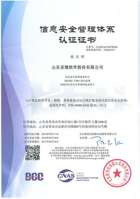 山東亞微軟件股份有限公司 深耕軟件開發，驅動區域數字化轉型